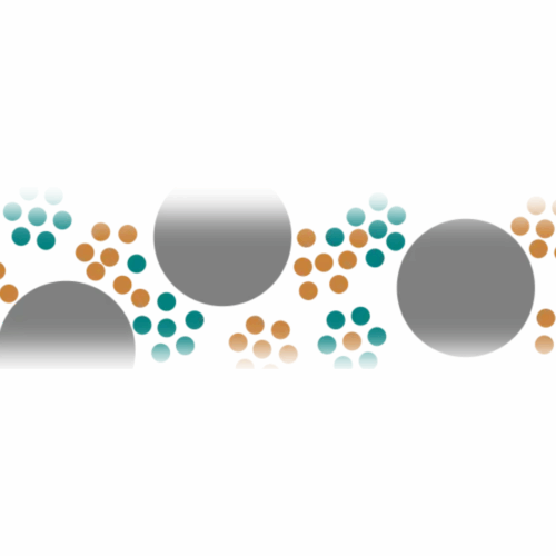 Computational Mechanochemistry (Panosetti Group)